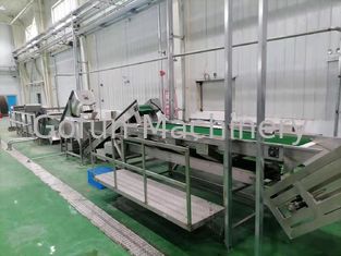 Cadena de producción de la pulpa de la guayaba 500T/D planta de tratamiento de la guayaba de 415V para el jugo concentrado