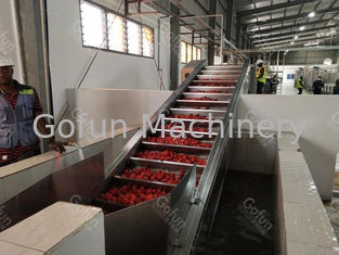 la línea de transformación automática de la pasta de tomate 50t/h agua recicla el sistema