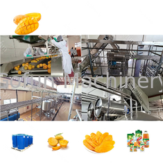 300T/D mango de acero inoxidable Juice Processing Line High Efficiency